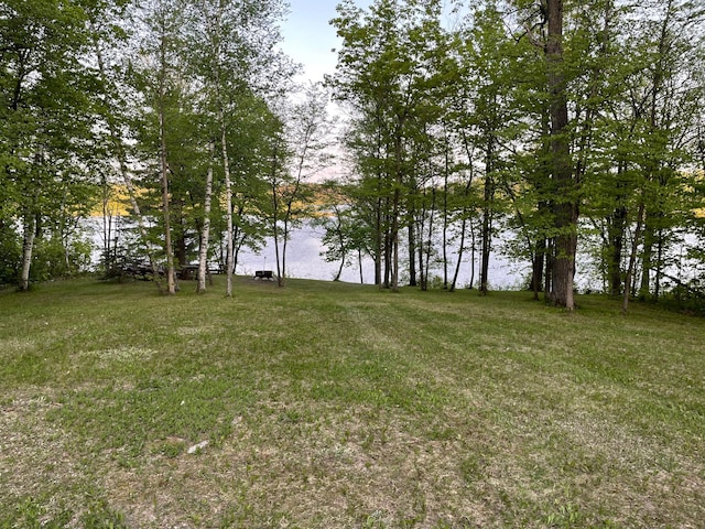 7160 Turtle Lake Dr NW, Walker, MN 56484 - photo 14
