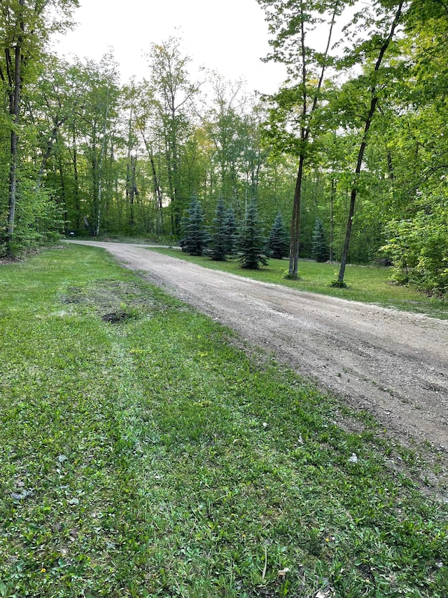 7160 Turtle Lake Dr NW, Walker, MN 56484 - photo 15