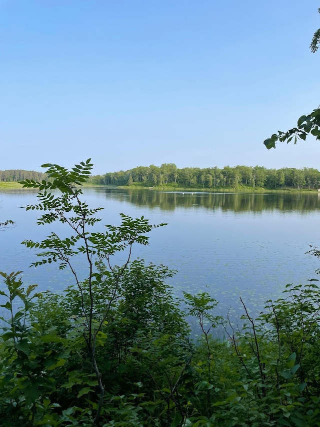 7160 Turtle Lake Dr NW, Walker, MN 56484 - photo 18