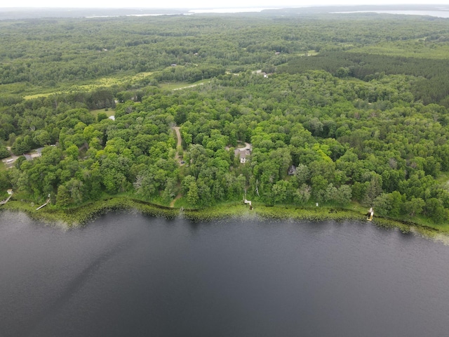 7160 Turtle Lake Dr NW, Walker, MN 56484 - photo 24