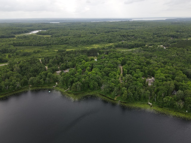 7160 Turtle Lake Dr NW, Walker, MN 56484 - photo 26