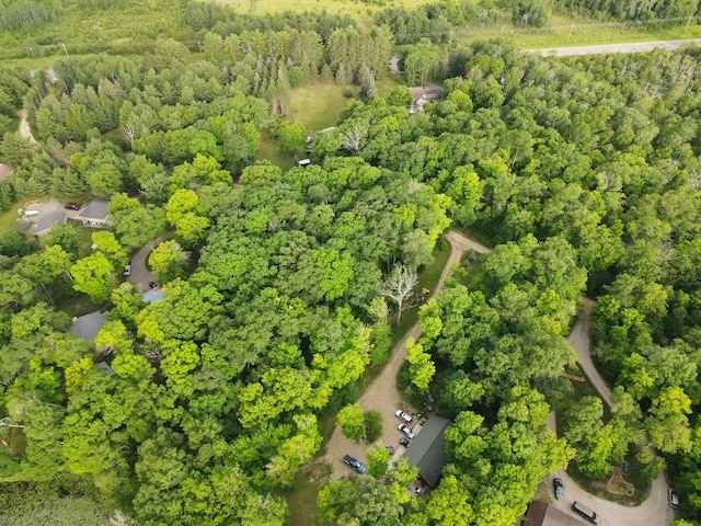 7160 Turtle Lake Dr NW, Walker, MN 56484 - photo 28