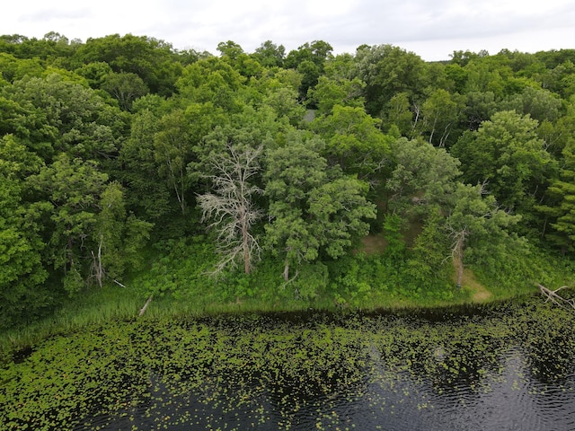 7160 Turtle Lake Dr NW, Walker, MN 56484 - photo 29