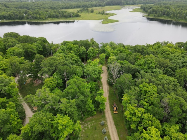 7160 Turtle Lake Dr NW, Walker, MN 56484 - photo 33