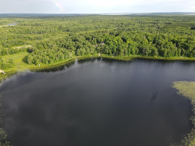 7160 Turtle Lake Dr NW, Walker, MN 56484 - photo 42