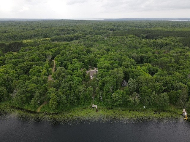 7160 Turtle Lake Dr NW, Walker, MN 56484 - photo 45