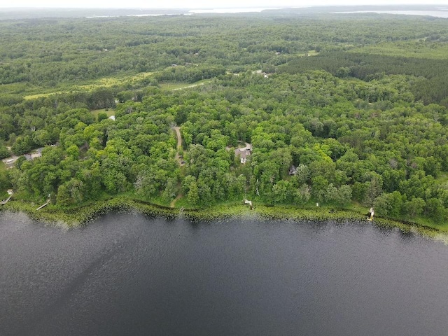 7160 Turtle Lake Dr NW, Walker, MN 56484 - photo 48