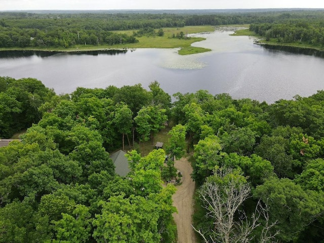 7160 Turtle Lake Dr NW, Walker, MN 56484 - photo 49