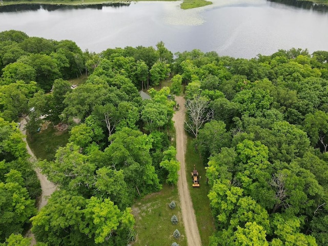 7160 Turtle Lake Dr NW, Walker, MN 56484 - photo 50