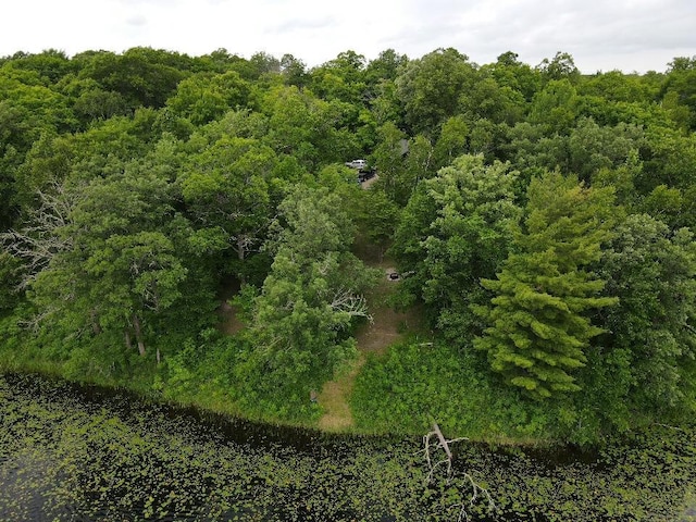 7160 Turtle Lake Dr NW, Walker, MN 56484 - photo 54
