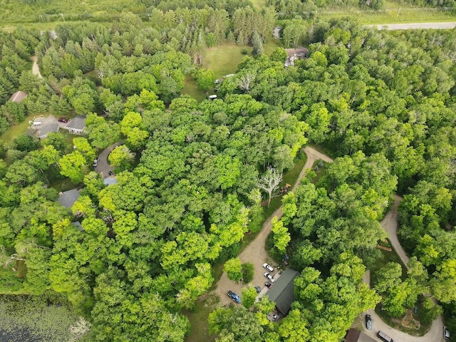 7160 Turtle Lake Dr NW, Walker, MN 56484 - photo 55