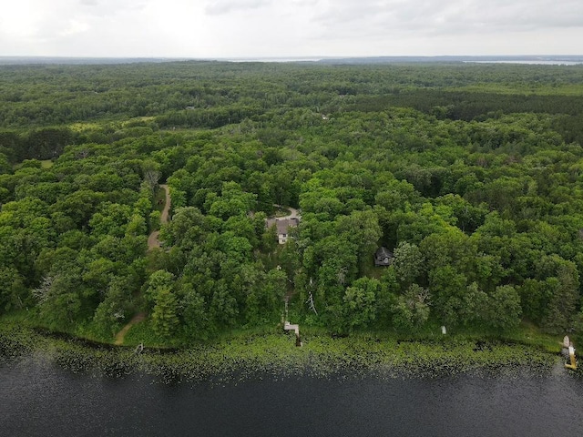7160 Turtle Lake Dr NW, Walker, MN 56484 - photo 56