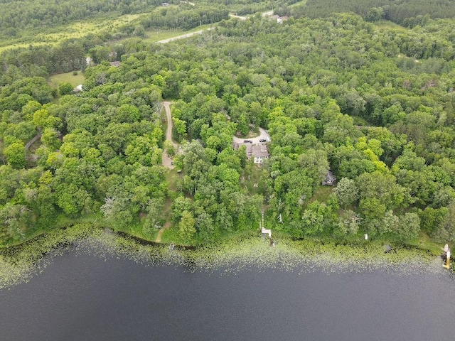 7160 Turtle Lake Dr NW, Walker, MN 56484 - photo 58