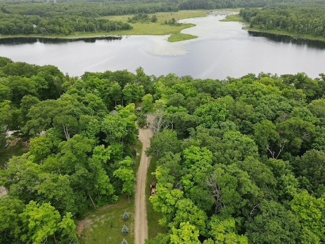 7160 Turtle Lake Dr NW, Walker, MN 56484 - photo 59