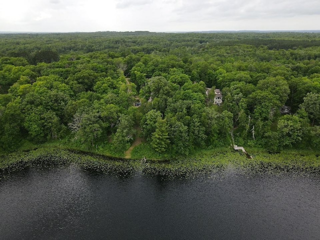 7160 Turtle Lake Dr NW, Walker, MN 56484 - photo 60