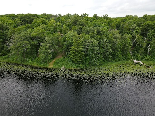 7160 Turtle Lake Dr NW, Walker, MN 56484 - photo 62