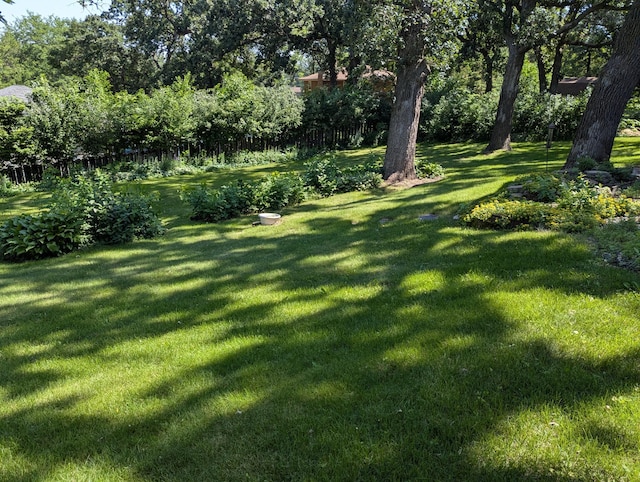 417 Ridge Rd, Albert Lea, MN 56007 - view of green lawn