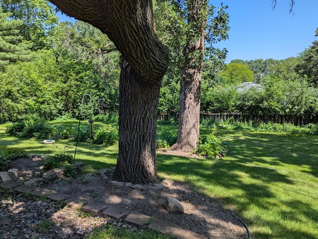 417 Ridge Rd, Albert Lea, MN 56007 - view of yard featuring a forest view