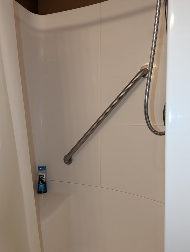 417 Ridge Rd, Albert Lea, MN 56007 - bathroom view of a shower
