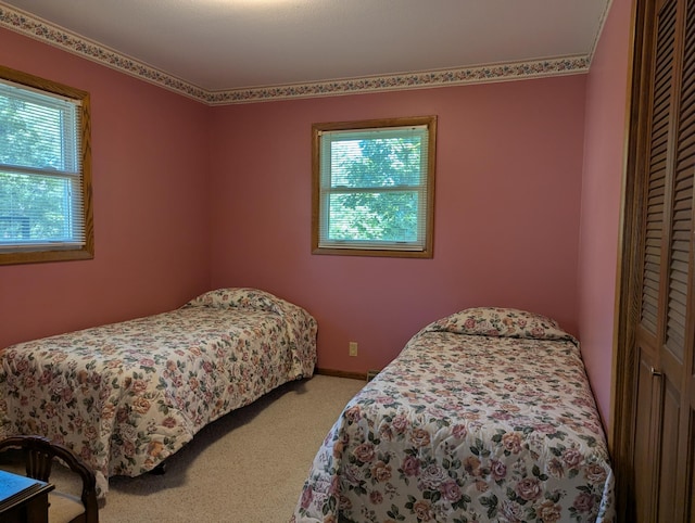 417 Ridge Rd, Albert Lea, MN 56007 - carpeted bedroom with multiple windows and a closet
