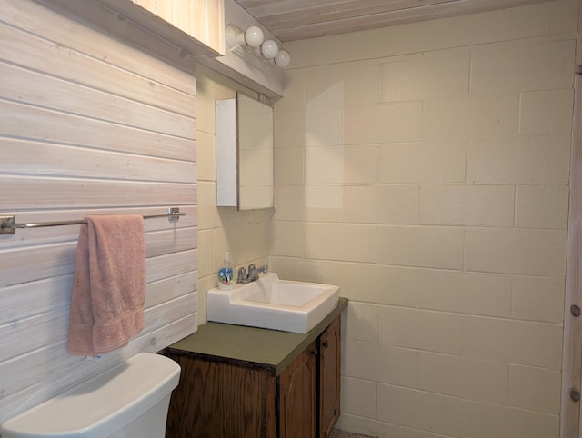 417 Ridge Rd, Albert Lea, MN 56007 - bathroom with vanity and concrete block wall