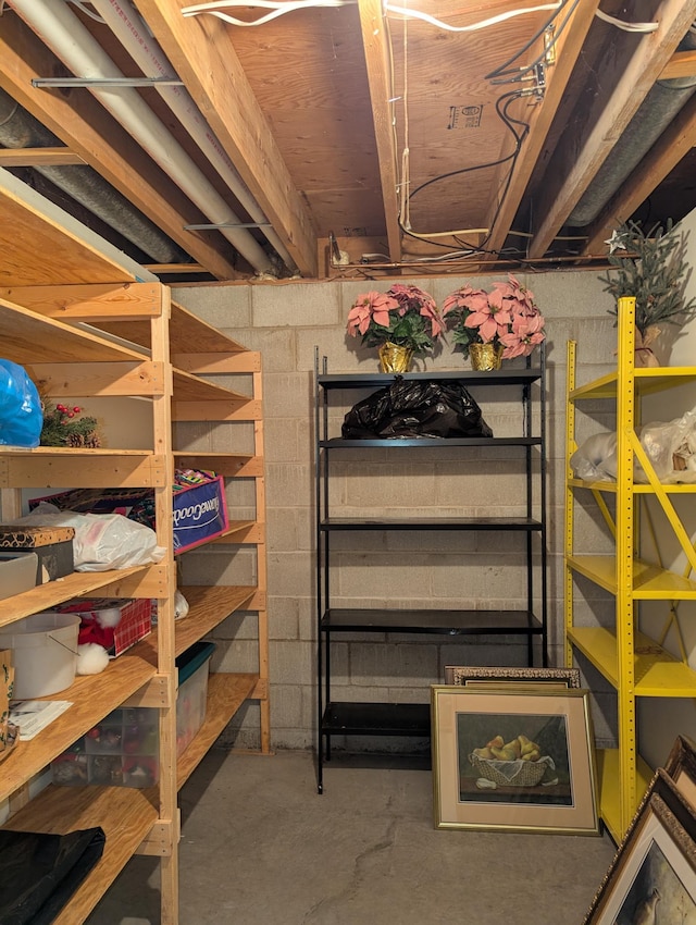 417 Ridge Rd, Albert Lea, MN 56007 - view of storage area