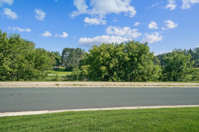 726 Maggie Way, Chanhassen, MN 55317 - photo 21