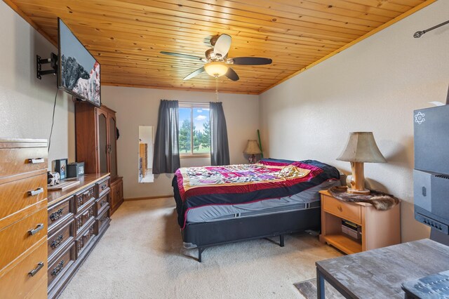 910 Bluebird Nest Ln SW, Backus, MN 56435 - photo 9