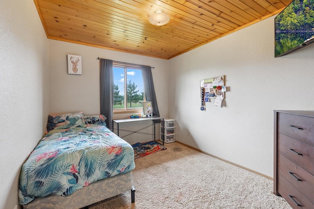 910 Bluebird Nest Ln SW, Backus, MN 56435 - photo 12