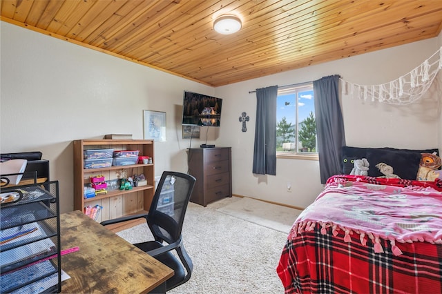 910 Bluebird Nest Ln SW, Backus, MN 56435 - photo 13