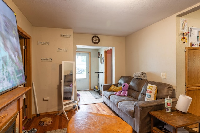 803 5th St, Winona, MN 55987 - living area featuring light wood-style floors