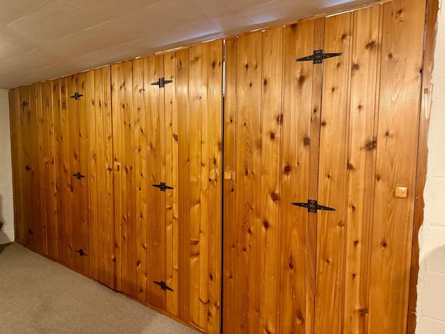 905 Clausen Ave, Albert Lea, MN 56007 - detailed view of wooden walls and carpet floors