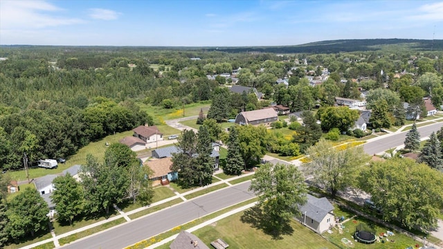 602 8th St NW, Chisholm, MN 55719 - aerial view of residential area featuring a forest