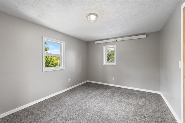 602 8th St NW, Chisholm, MN 55719 - empty room featuring carpet flooring, a textured ceiling, and plenty of natural light