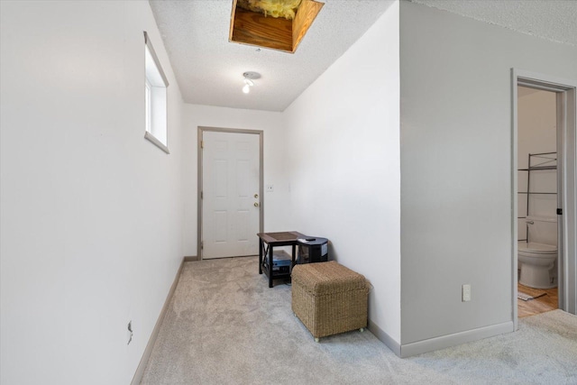 602 8th St NW, Chisholm, MN 55719 - hallway with carpet floors and a textured ceiling