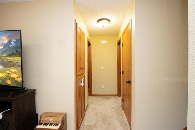 2223 Fairbanks Dr, North Mankato, MN 56003 - hall featuring light colored carpet and a textured ceiling