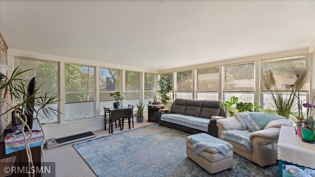 950 Tuva Rd SE, Cokato, MN 55321 - sunroom / solarium with carpet floors
