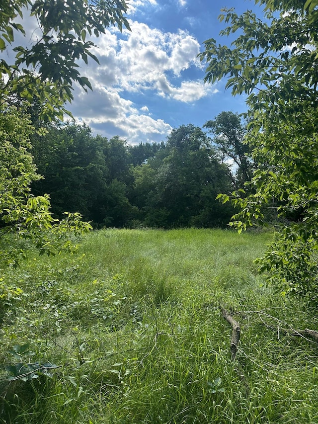 16140 Central Ave NE, Ham Lake, MN 55304 - view of tree filled area
