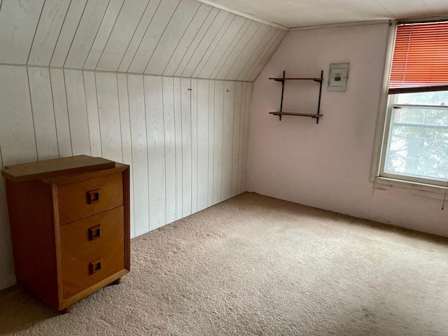 16140 Central Ave NE, Ham Lake, MN 55304 - additional living space featuring carpet, wooden walls, and vaulted ceiling