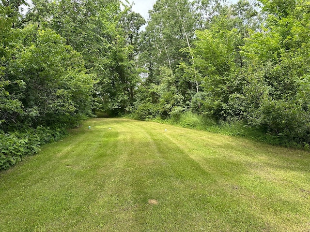 3796 300th St, Cannon Twp, MN 56734 - photo 31