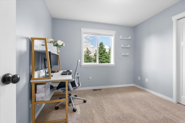 8638 Preserve Blvd N, Chisago City, MN 55013 - office space featuring carpet flooring and baseboards