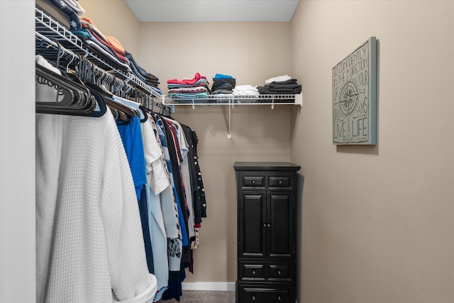 8638 Preserve Blvd N, Chisago City, MN 55013 - view of walk in closet
