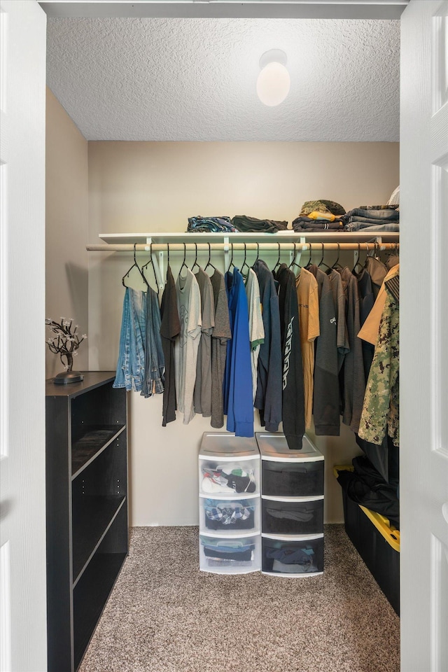 8638 Preserve Blvd N, Chisago City, MN 55013 - walk in closet featuring carpet flooring