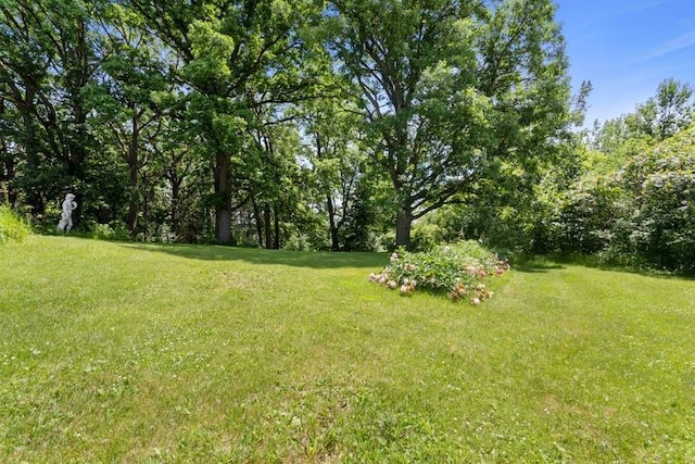 322 Central Ave N, Eagle Bend, MN 56446 - view of green lawn