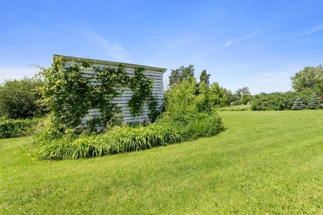 322 Central Ave N, Eagle Bend, MN 56446 - view of green lawn