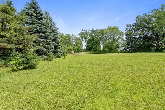 322 Central Ave N, Eagle Bend, MN 56446 - view of grassy yard