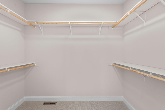 3886 Larabee Ave NE, Saint Michael, MN 55376 - spacious closet featuring carpet flooring