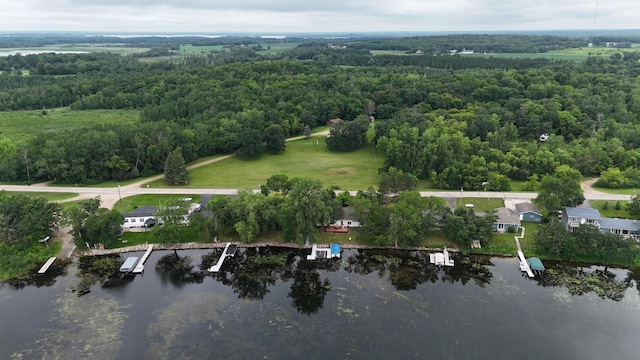 38538 Walker Lake Dr, Amor Twp, MN 56576 - photo 39