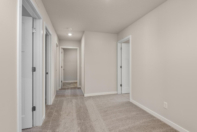 39749 Fallbrook Ave, North Branch, MN 55056 - corridor with light colored carpet and baseboards