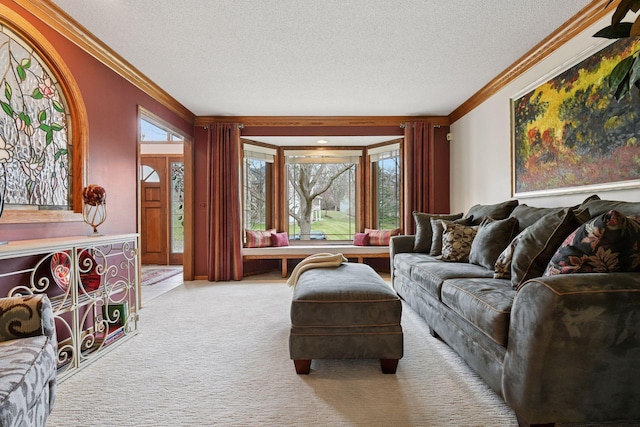 3600 Wedgewood Ln N, Plymouth, MN 55441 - living room featuring ornamental molding, a textured ceiling, and light carpet